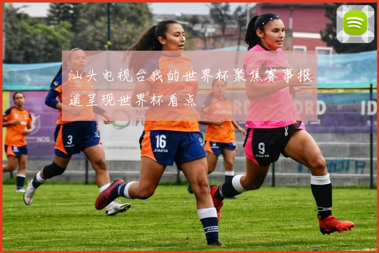 汕头电视台我的世界杯聚焦赛事报道呈现世界杯看点