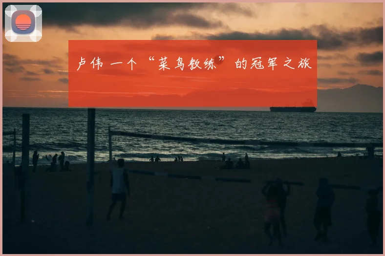 卢伟 一个“菜鸟教练”的冠军之旅
