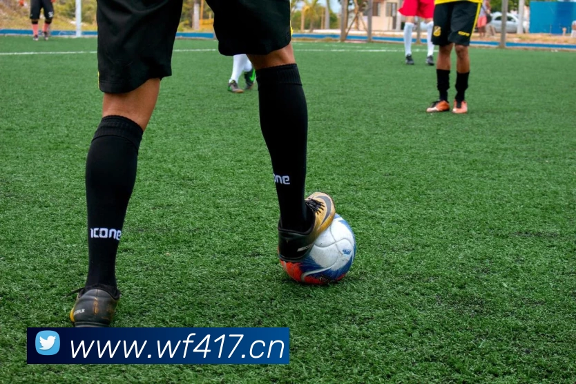 hth官方网页版 - hth(中国)APP 封面图